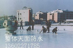 廣州市番禺區臺實防水補漏防腐工程公司 專業管道疏通服務與品牌生產供應商