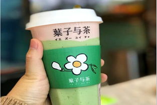 加盟葉子與茶需多少費用？冰淇淋加盟機遇解析